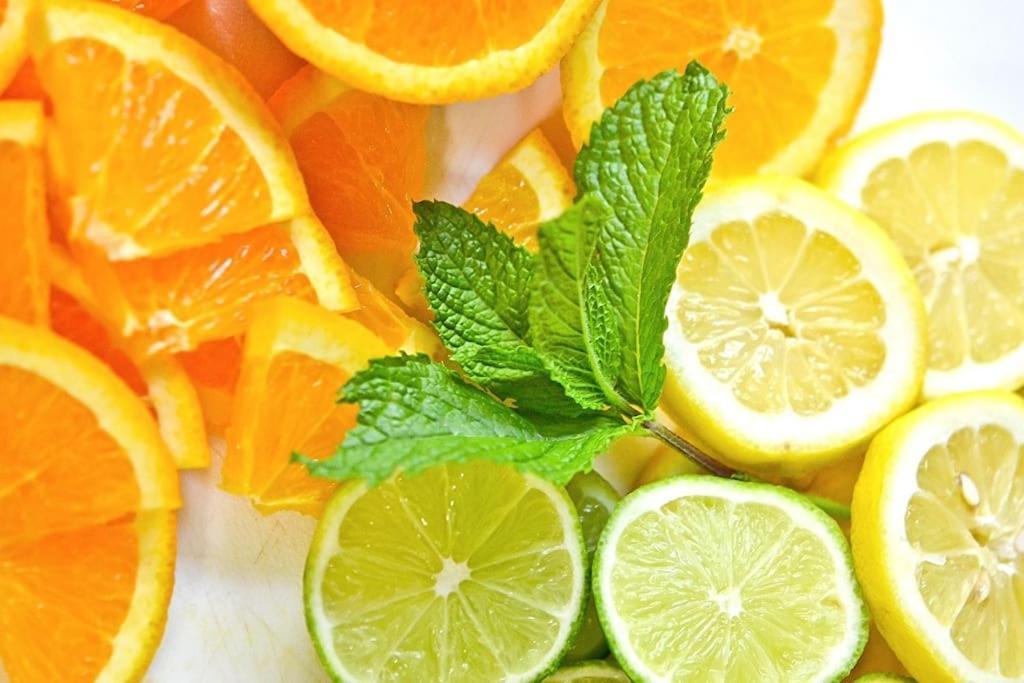 Casa Citrus Limao - Between The Hills & The Ocean Силвес Екстериор снимка