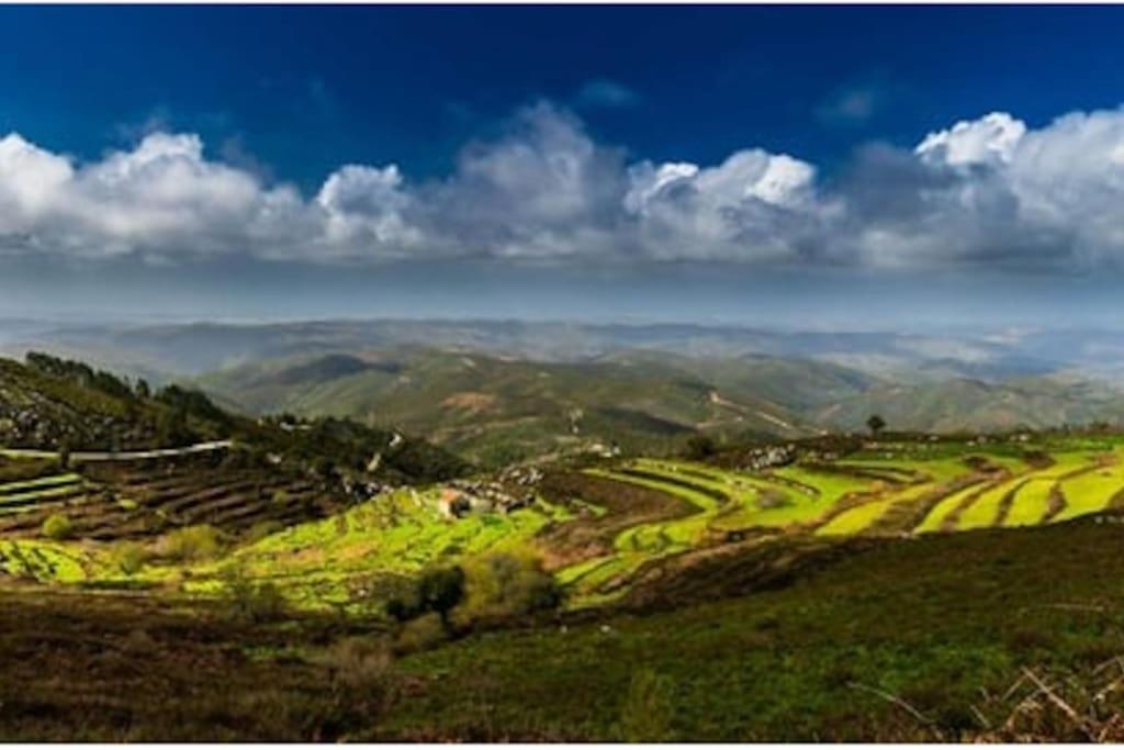 Casa Citrus Limao - Between The Hills & The Ocean Силвес Екстериор снимка